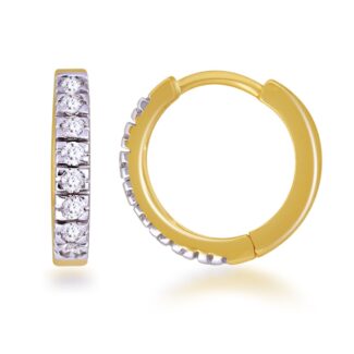 Hoop Earrings 2482